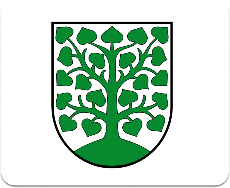 Stadt Homburg im Saarland logo